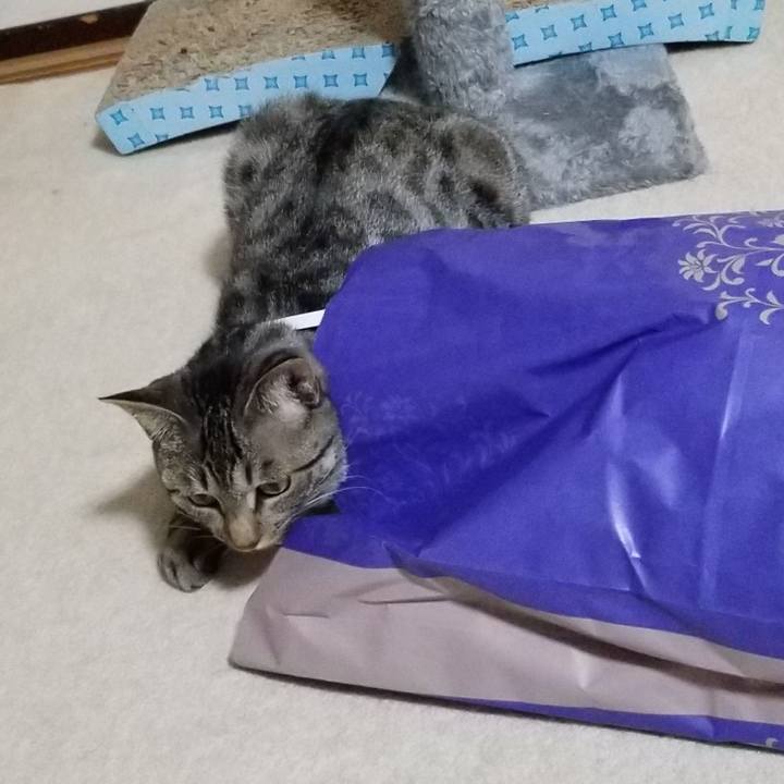 061502e5 79e5 4baf b332 08c7149d13f2 1685568105847