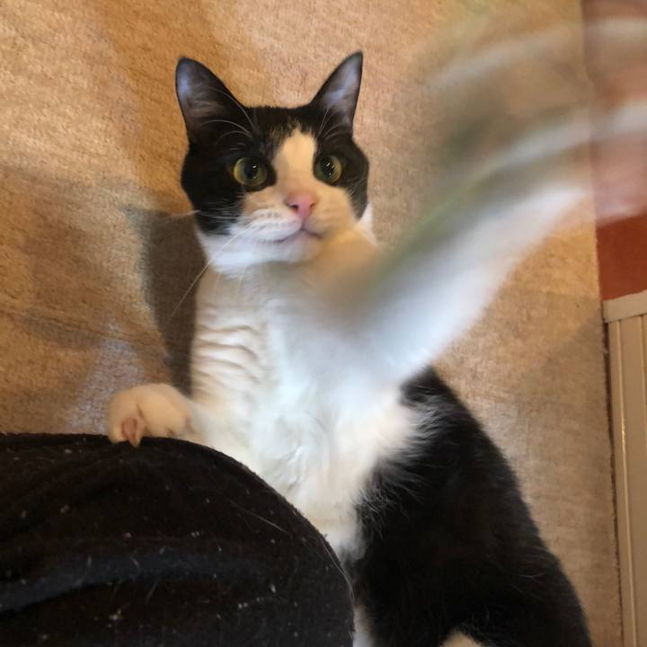 061536cd 7683 4b26 9e47 fdd2c992652e 1553079134325