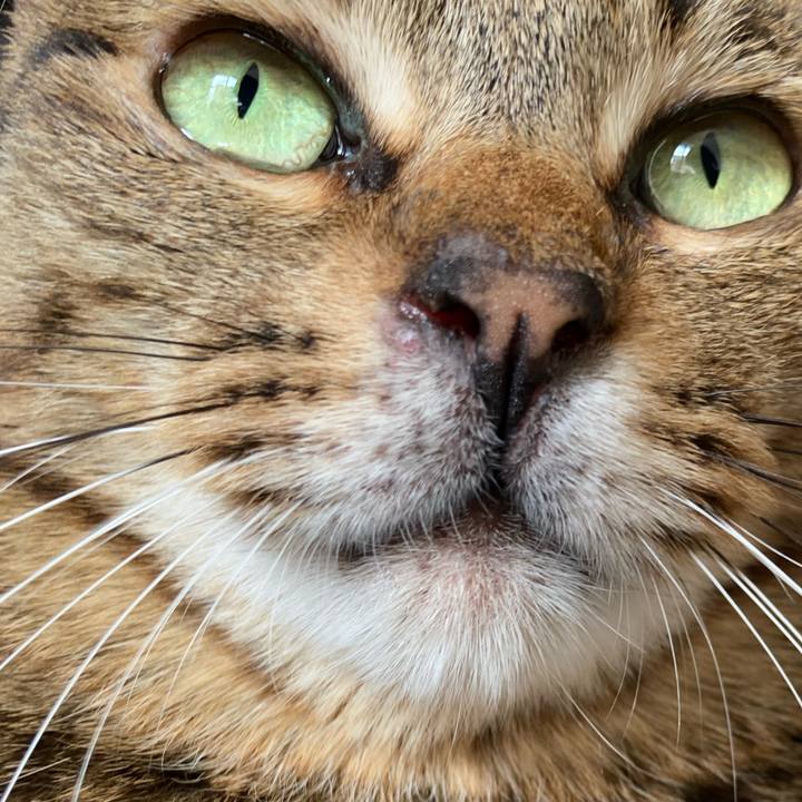 06156a84 a084 47d6 bc91 5884c48dd16f 1604203627798