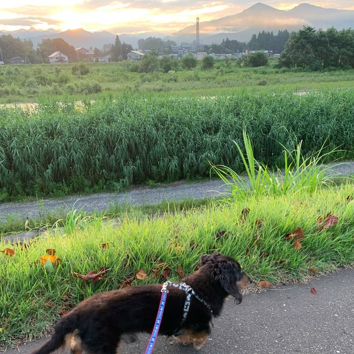 0615810f 5e58 4dcc b465 dab8b915fc60 1630100863898