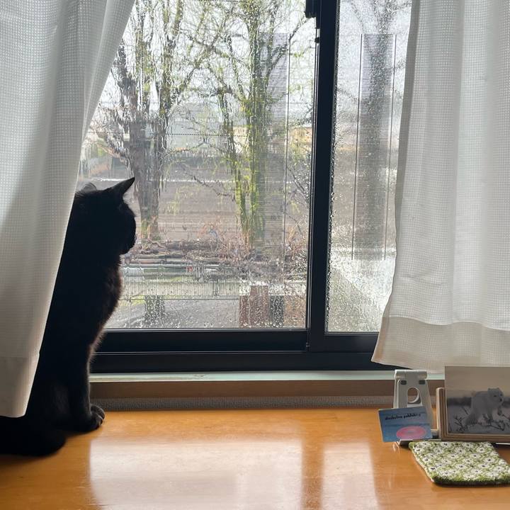 06158309 5d16 4540 a164 a299c13570c5 1711667834858