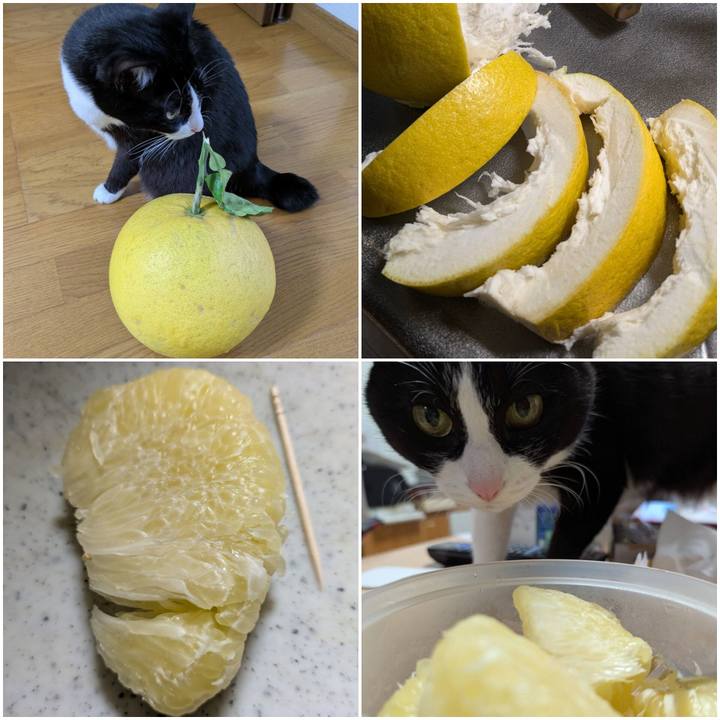 06158dda 73d0 4d79 ba95 887e3e3c03c4 1745653593139