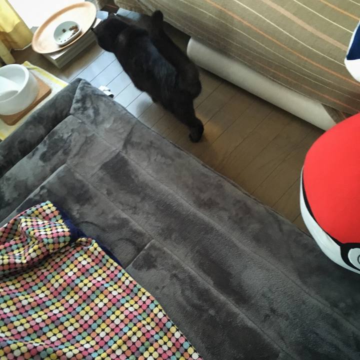 0615e1c2 bb71 4767 ab1a 055c4bed0833 1544743550453