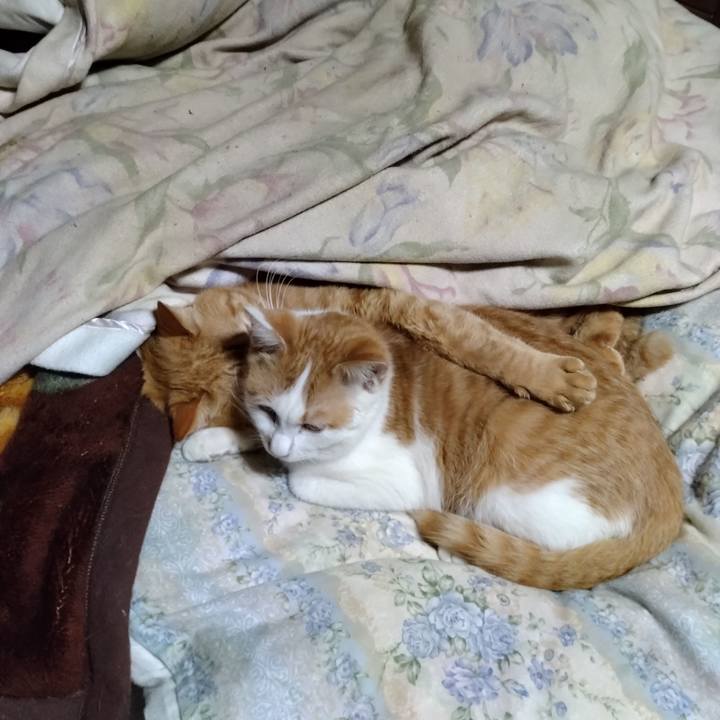 0615ed18 f387 440a 8dd4 141f3e0499ab 1738928898842