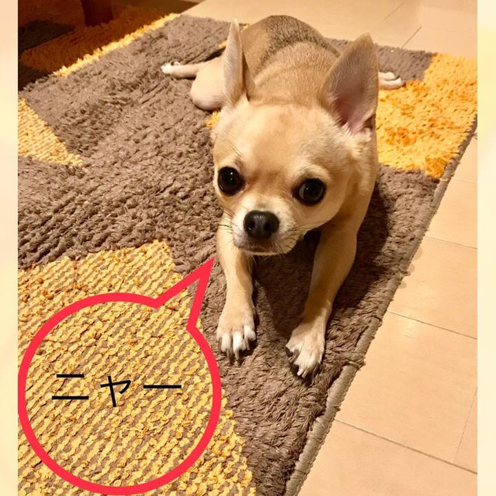 0615f4b6 2d10 4ed6 a9fa 3d3534556181 1519257924054