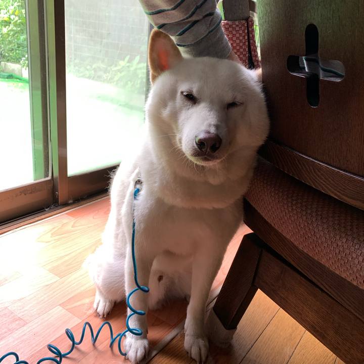 061603f6 6bec 4d53 8e30 d6beb36464d4 1600379024830