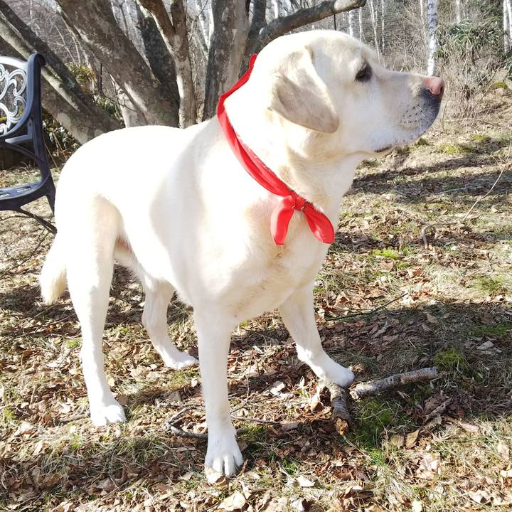 0616140b 4c1b 480a a647 5333d7f9a7ba 1582357468466