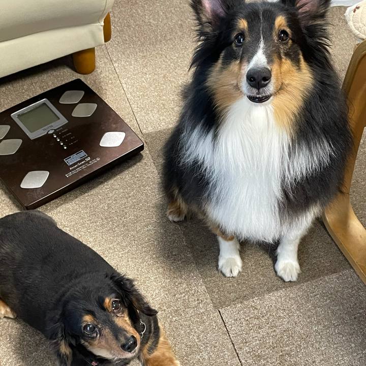 06162221 50ac 4c6d bbb8 92a20a79ac53 1610579115300