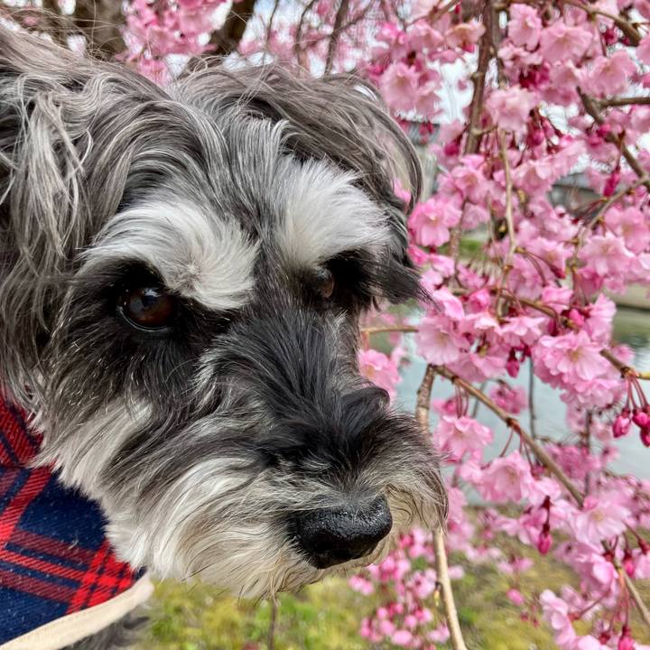 061631f4 a991 4063 947a c963f34b0ea4 1744895843000