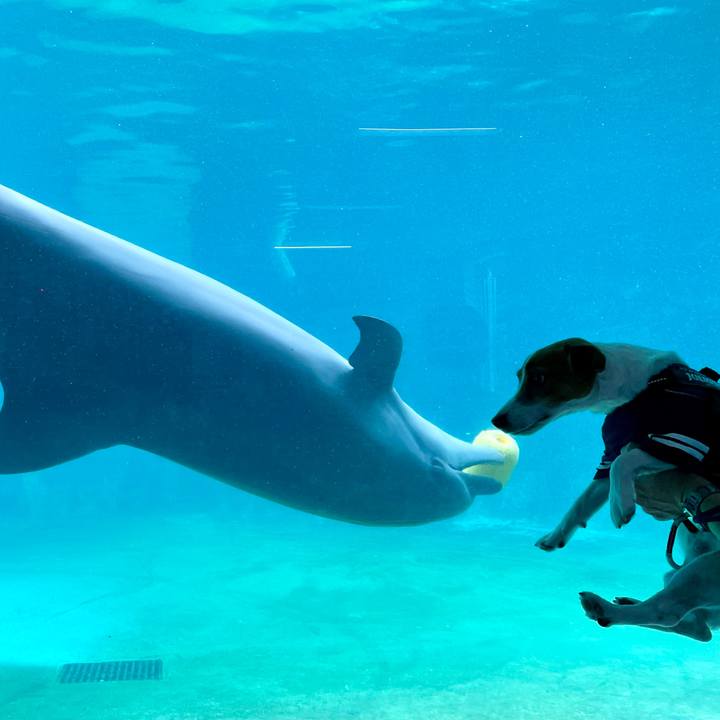 06167822 a747 42b1 ab2e 58a16b4b3256 1660482401374