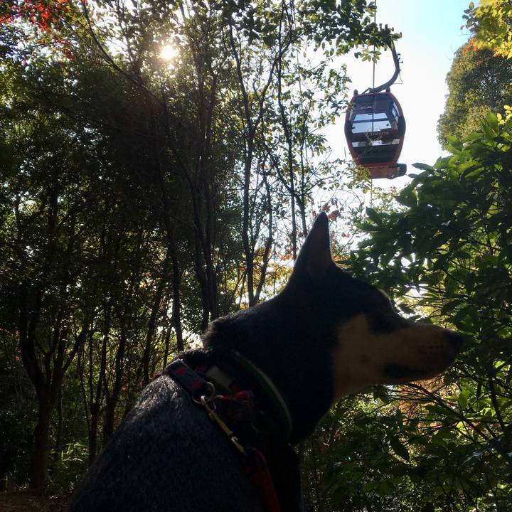 06167871 4c20 4088 9db3 52b99c912e9e 1512085127366