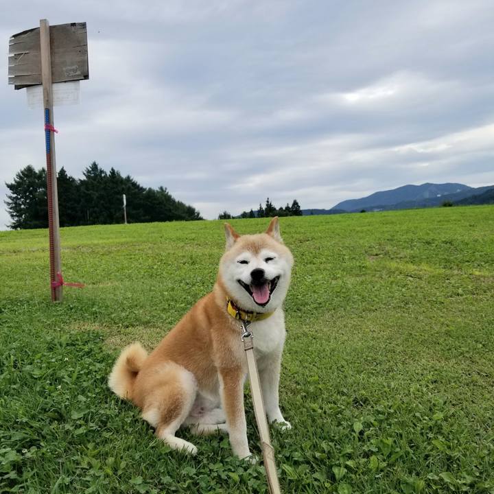 06167d6a 35b6 481e b0b2 89989464d757 1689399027588