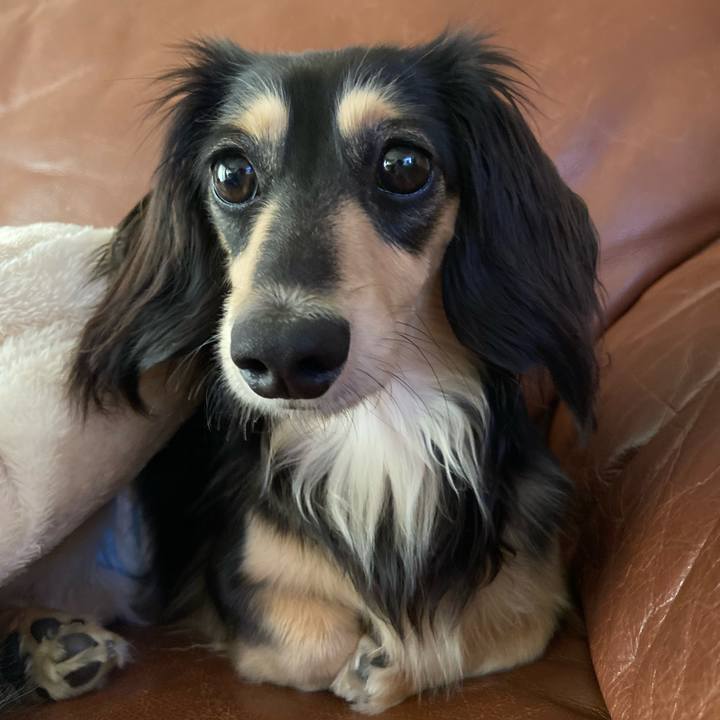 0616ce77 5375 4939 b8ba a8f7f20d8722 1716187162735