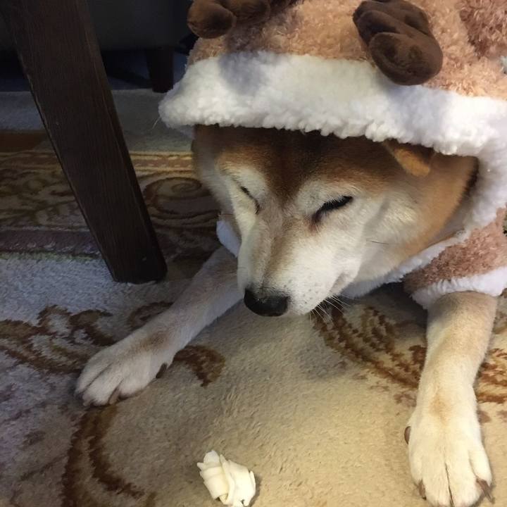 0616db1a ade5 4d74 ada8 481de9ca9d68 1577158639449