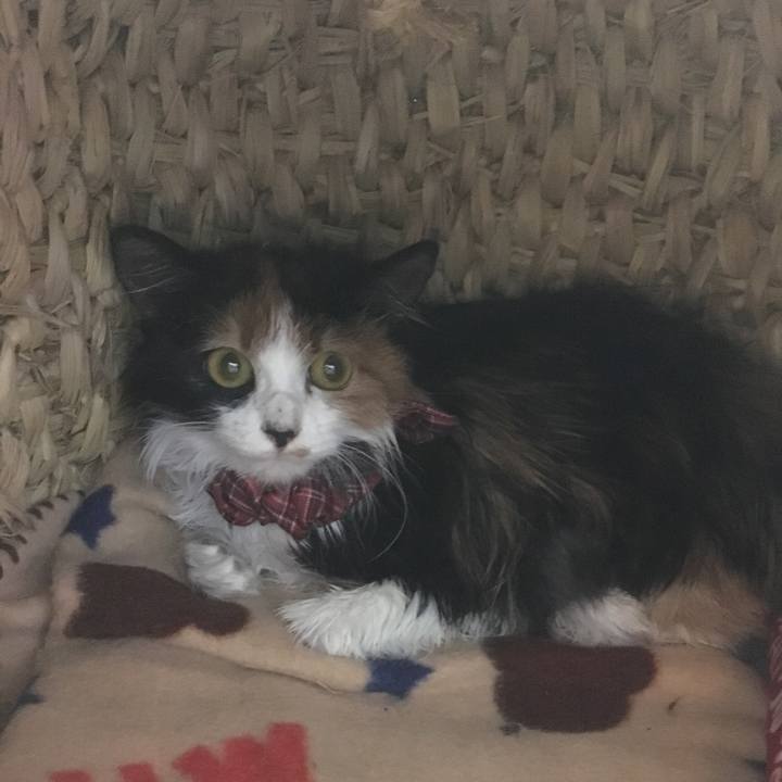 06170465 c39d 4966 b17f b60f4bd37aca 1509371302178