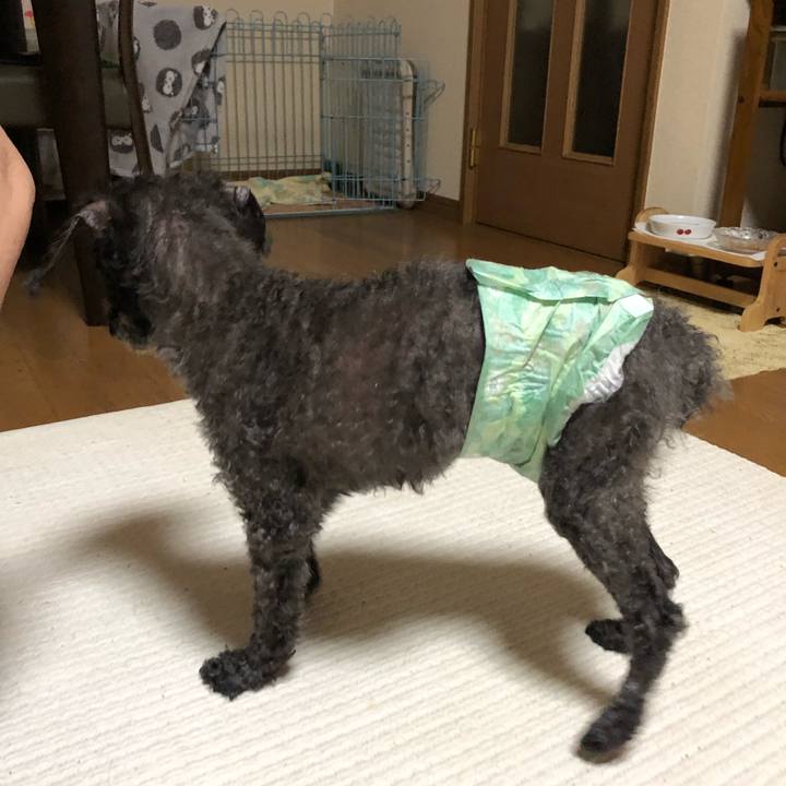 06172511 38b4 4641 a270 db3b1d20b0a1 1567385707258