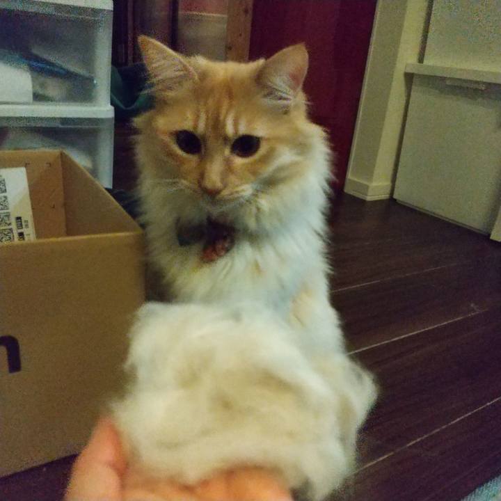 06172714 3634 465d a3d8 e50d49bccaa7 1647435377716