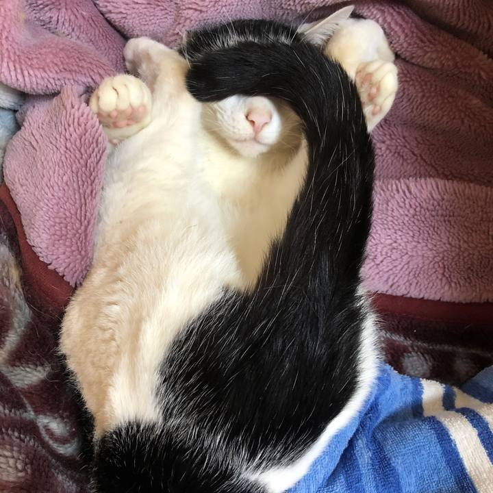 0617a6b8 38da 4978 b2cb c9135964bf82 1620275112750