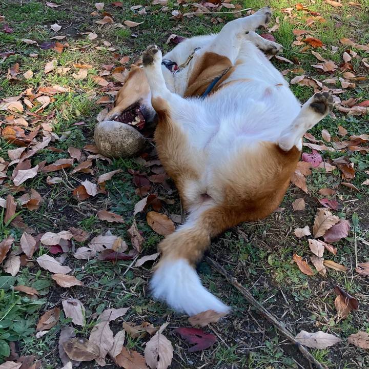 0617fd79 6803 4c7e 8f7c fb1f57728e63 1670034722204