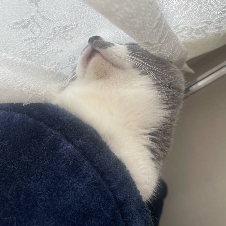 06183dc4 ecbd 42ae ae56 9c68d2507039 1731808431207