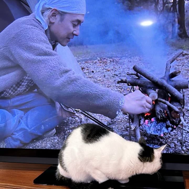 0618767b 6a9e 4b26 849c 7f2b48a14095 1730900576264