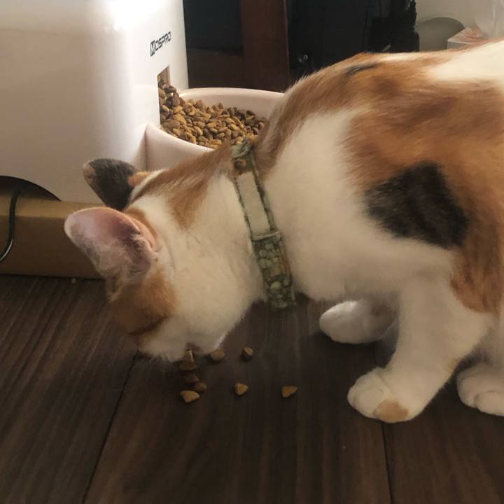 0618a940 f740 4772 8ceb 9bc57c50c7e2 1597567438866