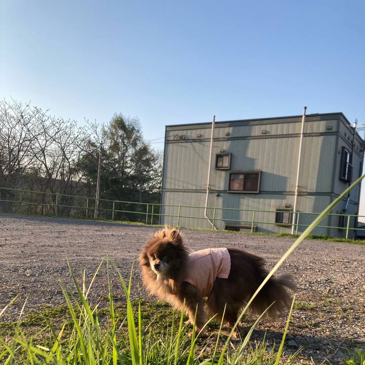 0618a982 437a 451c 99eb 69afd53ea2d2 1714681979768