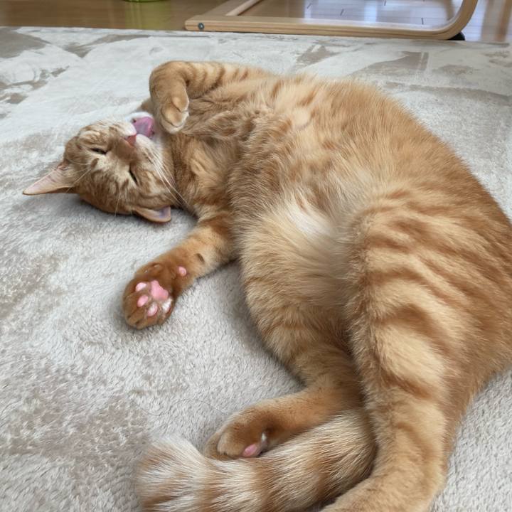 0618b063 88e3 4ce8 ad0e 8f61340d4fcf 1763955979044