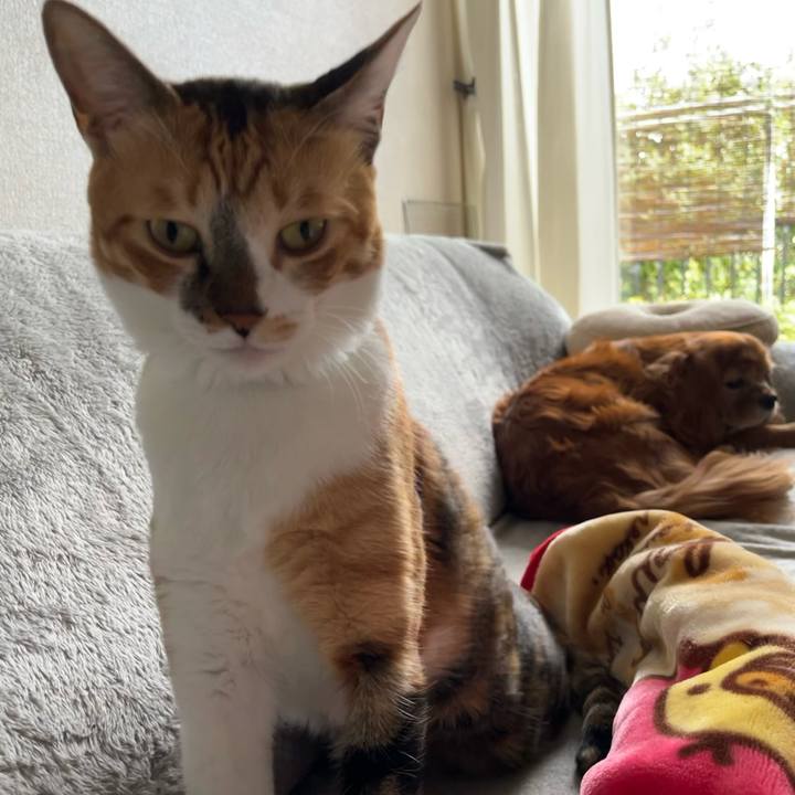 0618bab2 e8a1 49f3 9b04 37b13c01e5e4 1728209611438