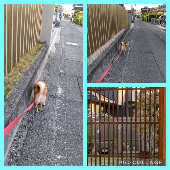 061955c0 9ae7 427d 9430 a4fecda7bd59 1746048852962