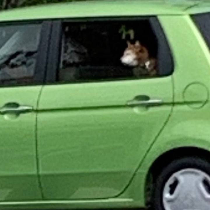 06195983 b115 4ed0 a685 7e6001a315f6 1632807684384