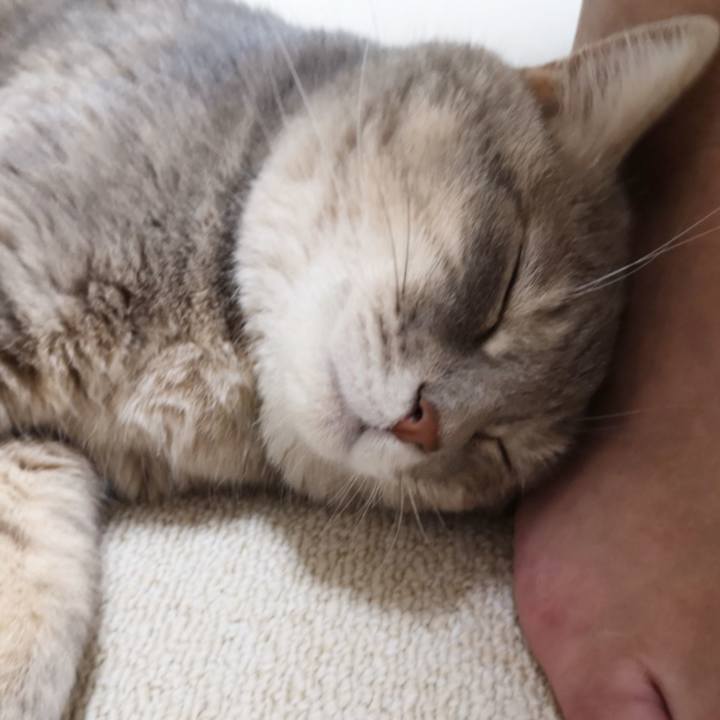 06195d07 b1f4 4172 ac05 c0d8fd91e424 1597417122970