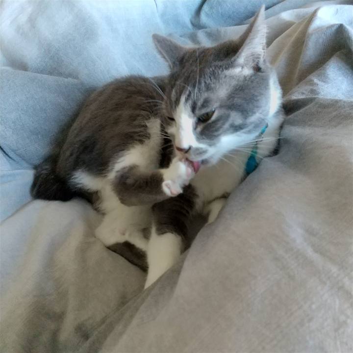 06199eca 9dd7 4a43 81a8 a2e114b49884 1645934412759