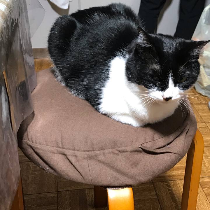 0619d3ca ba34 4f43 ae82 d32ff4f8a696 1553614998352