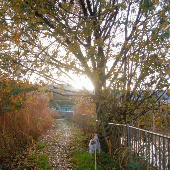 0619daca f14a 45ca a47d 433ec055b722 1543966848700