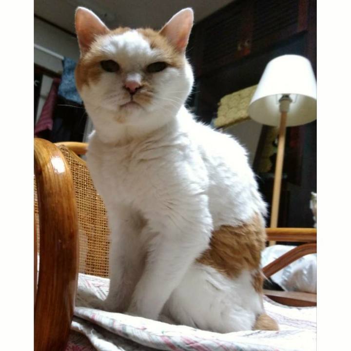 0619f9aa 6347 46fd a76e 84786a7be320 1570021343093