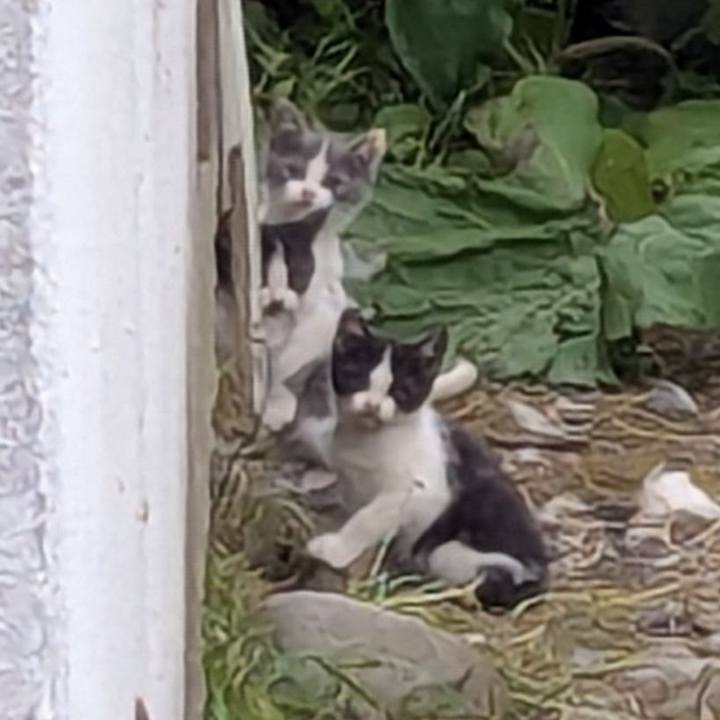 061a02b3 5f0b 41a7 9e80 857f8aaffe18 1750150027323