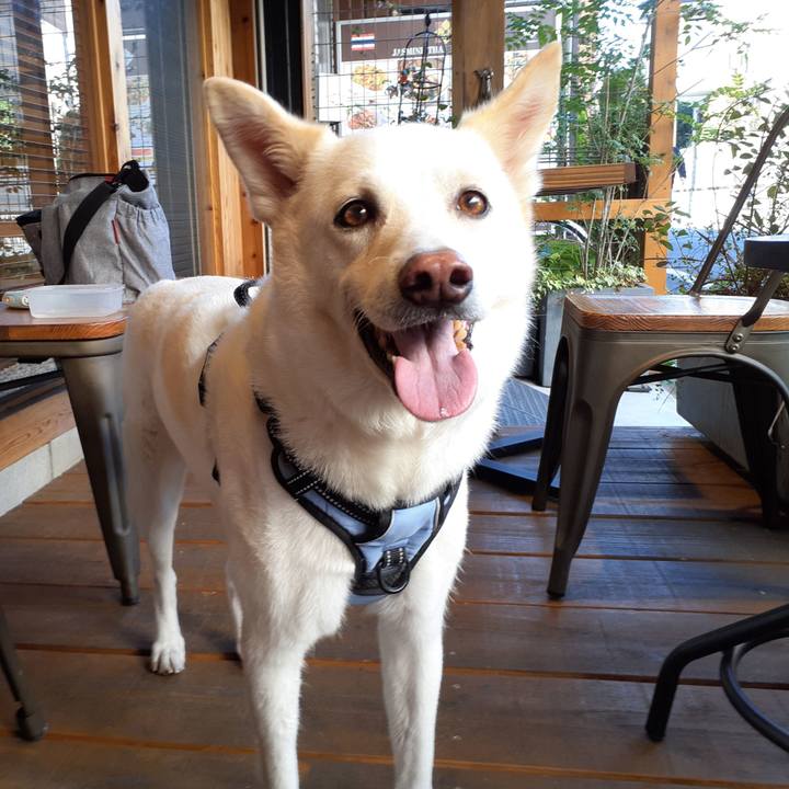 061a07fd d419 4e4d ae0b 0a4bf609940d 1667006763132