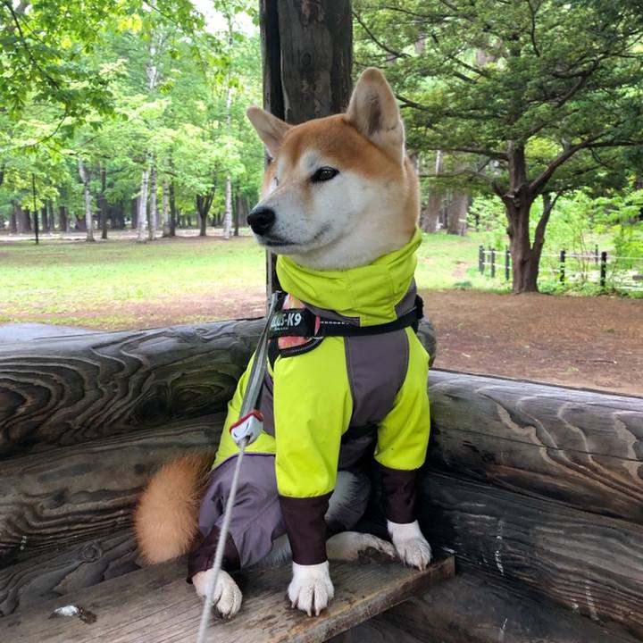 061a194f e7c4 45d5 8886 9ab9b6104825 1558398063000