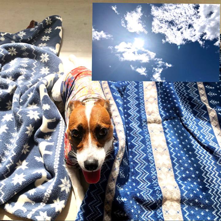 061a3532 76c9 4a15 8437 72e4a00890b1 1599092022748