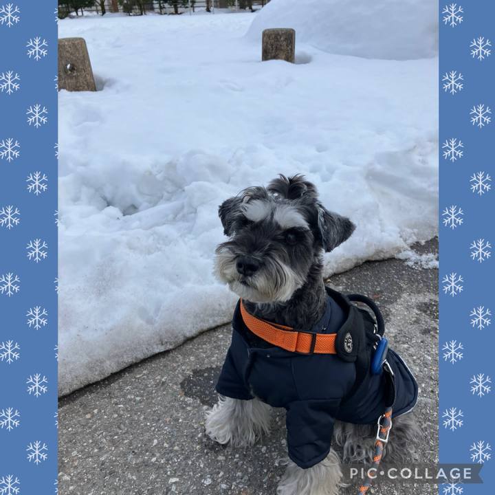 061a3e09 e449 4c64 a42b 09d2c2710971 1739455940905