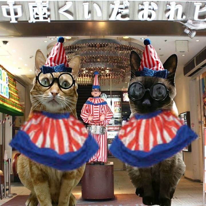 061a3eae 327a 4318 a4a9 c8d59fdbdf00 1555818512411