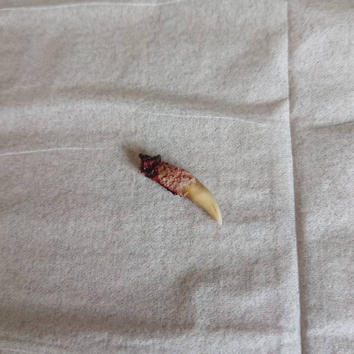 061a521b db7b 43af 8347 c8afde18d167 1726537897713