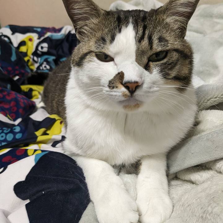 061a5e43 fa16 484b 9ed1 83bdb2d88b4a 1676691602648