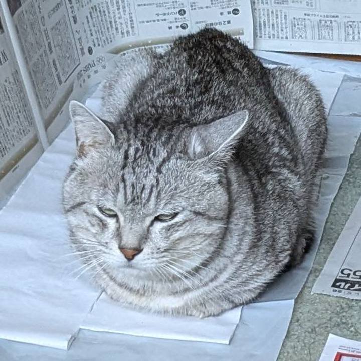 061a8006 7691 4ca7 811b 6517860400ce 1722437255862