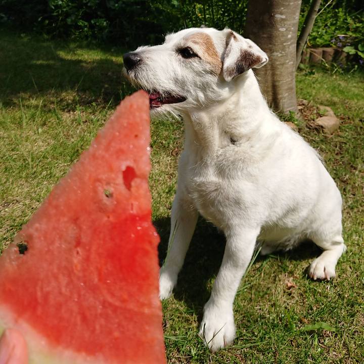 061abaea 7cfa 49a6 bf23 7abce4735337 1558914974789