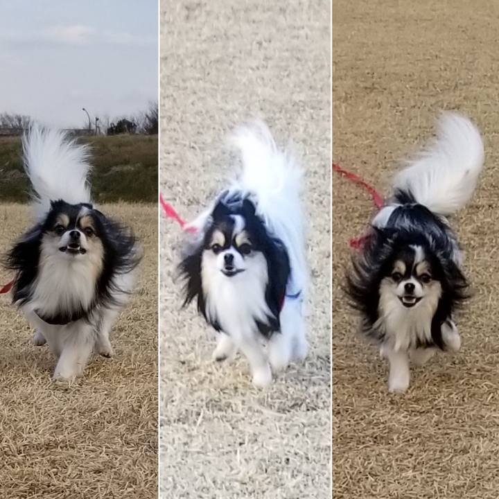 061ad0e4 8097 4535 b08b cbecc504ea46 1550394465465