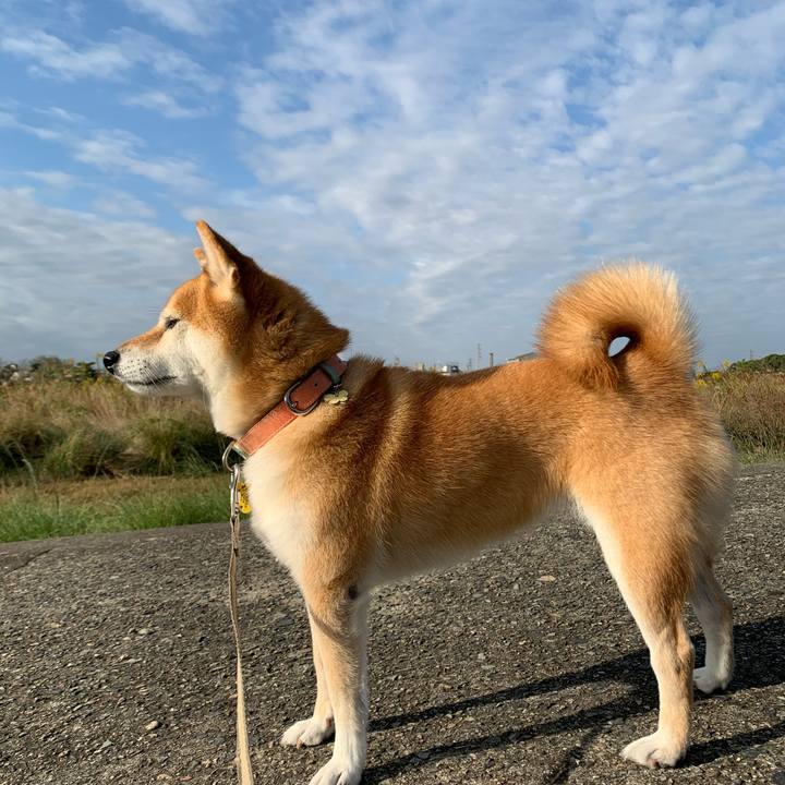 061ad890 8017 4d8e 933e 129f036d33be 1573186035865