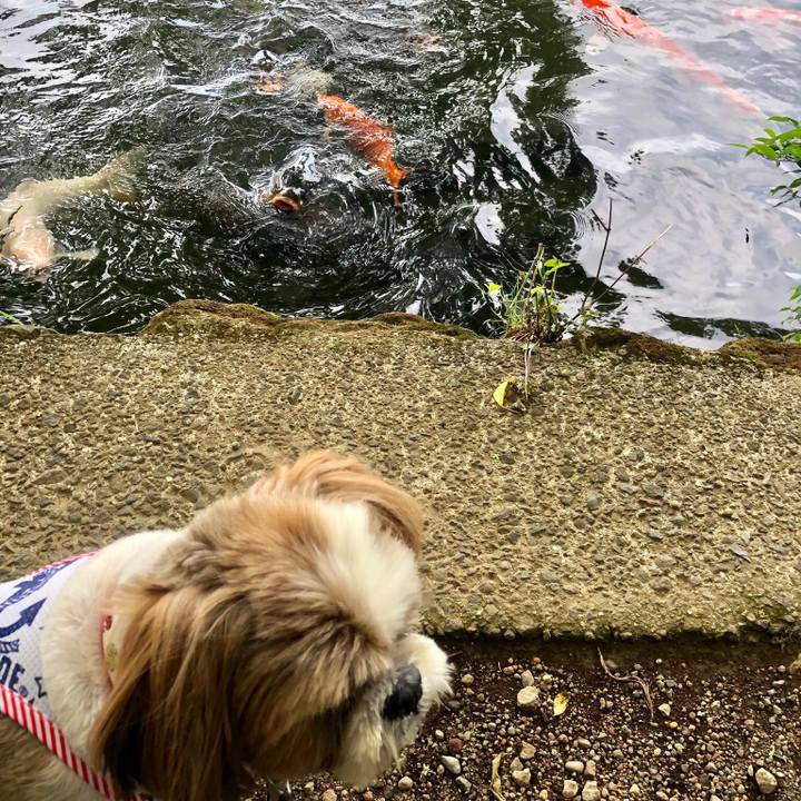 061b05d8 498b 442b 994f e1f77b19cd39 1526175078623