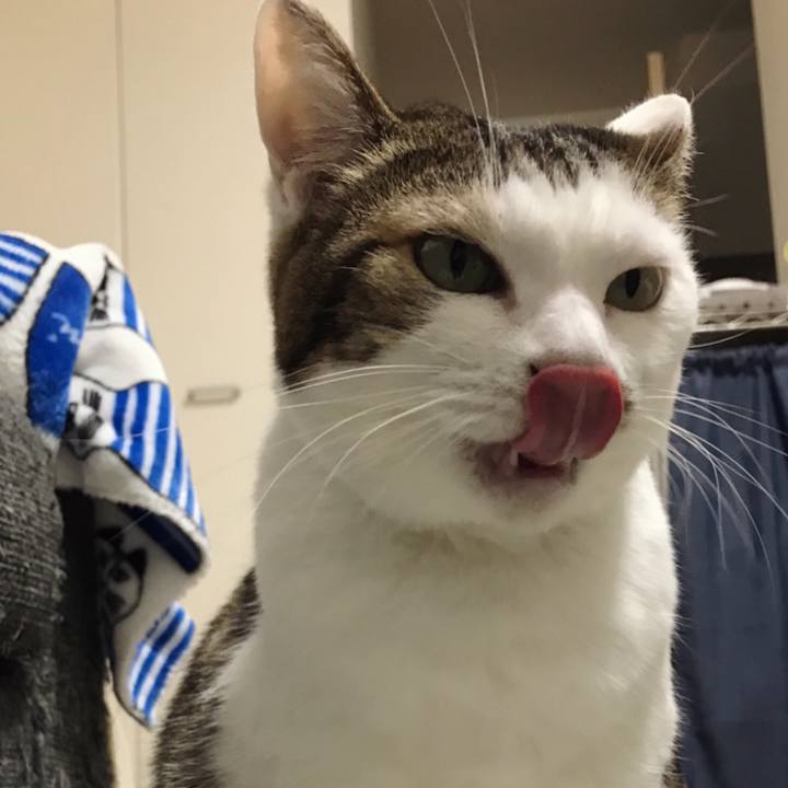 061b38a7 14c3 4deb 8a2c 9474f8ffaffc 1575954047033